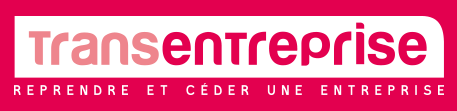 Transentreprise