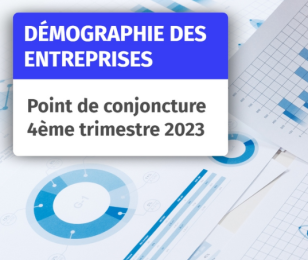 Démographie des entreprises