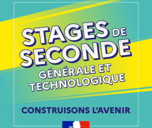 Vignette-stage-seconde
