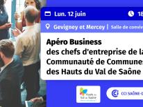 Apéro Business Communauté de Communes des Hauts du Val de Saône 2023