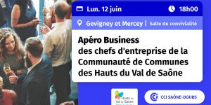 Apéro Business Communauté de Communes des Hauts du Val de Saône 2023